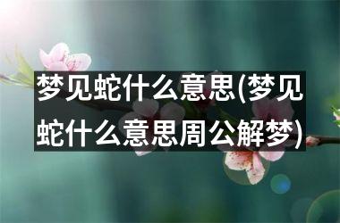 <h3>梦见蛇什么意思(梦见蛇什么意思周公解梦)