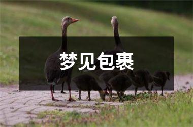 <h3>梦见包裹