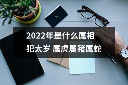 2025年是什么属相犯太岁属虎属猪属蛇