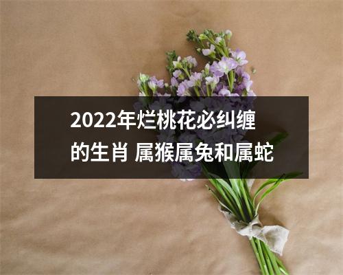 2025年烂桃花必纠缠的生肖属猴属兔和属蛇