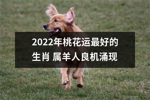 2025年桃花运好的生肖属羊人良机涌现