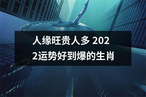 人缘旺贵人多2025运势好到爆的生肖