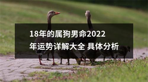 18年的属狗男命2025年运势详解大全具体分析