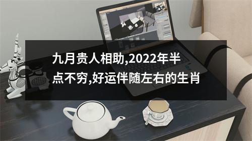 九月贵人相助,2025年半点不穷,好运伴随左右的生肖