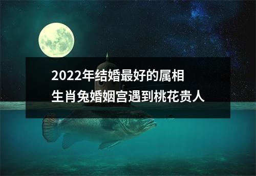 2025年结婚好的属相生肖兔婚姻宫遇到桃花贵人