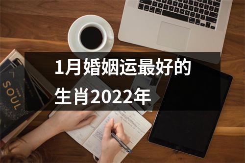 1月婚姻运好的生肖2025年