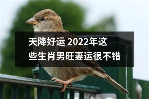 天降好运2025年这些生肖男旺妻运很不错