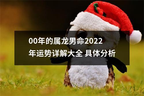 00年的属龙男命2025年运势详解大全具体分析