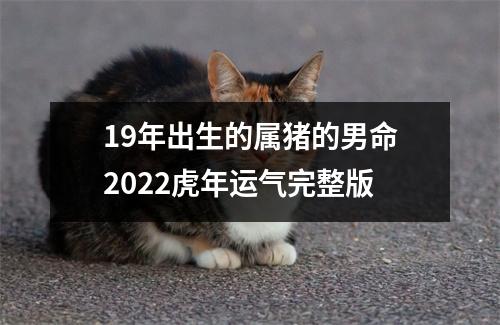 19年出生的属猪的男命2025虎年运气完整版