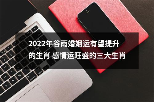 2025年谷雨婚姻运有望提升的生肖感情运旺盛的三大生肖