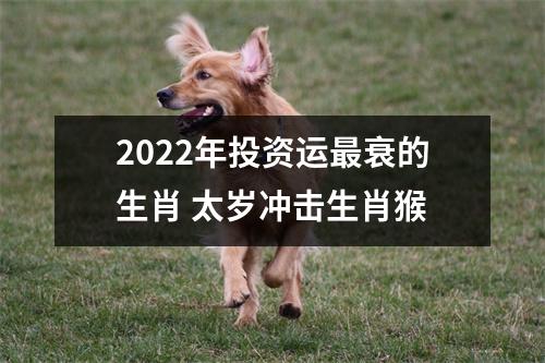 2025年投资运衰的生肖太岁冲击生肖猴