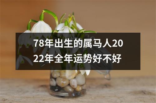 78年出生的属马人2025年全年运势好不好