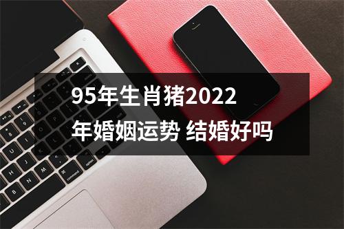 95年生肖猪2025年婚姻运势结婚好吗