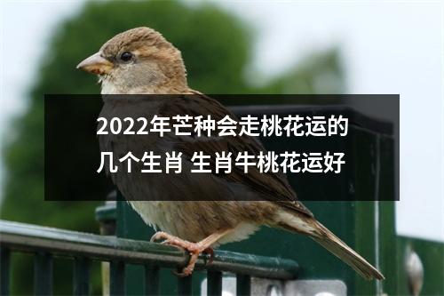 2025年芒种会走桃花运的几个生肖生肖牛桃花运好