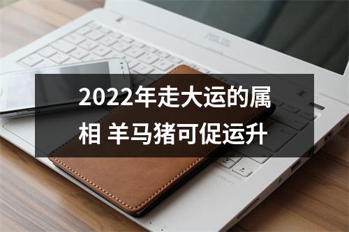 2025年走大运的属相羊马猪可促运升