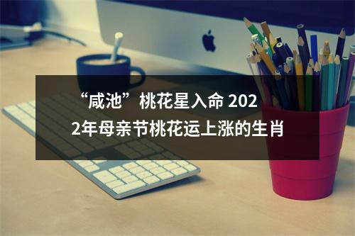 <h3>“咸池”桃花星入命2025年母亲节桃花运上涨的生肖