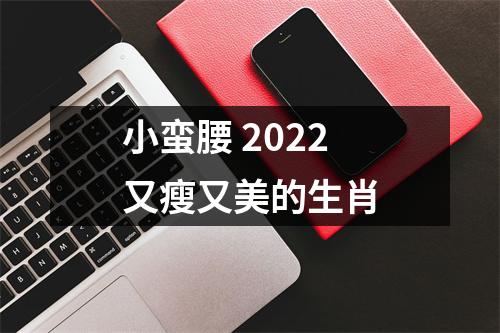 小蛮腰2025又瘦又美的生肖