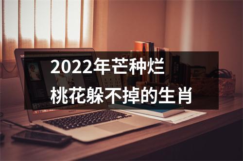 <h3>2025年芒种烂桃花躲不掉的生肖