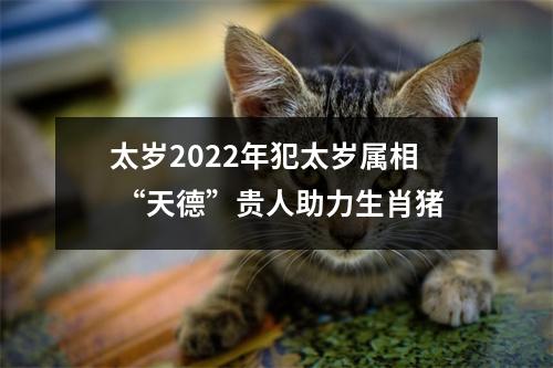 太岁2025年犯太岁属相“天德”贵人助力生肖猪