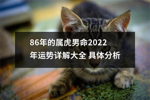 86年的属虎男命2025年运势详解大全具体分析