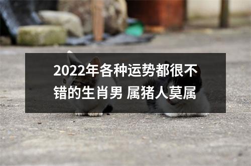 2025年各种运势都很不错的生肖男属猪人莫属