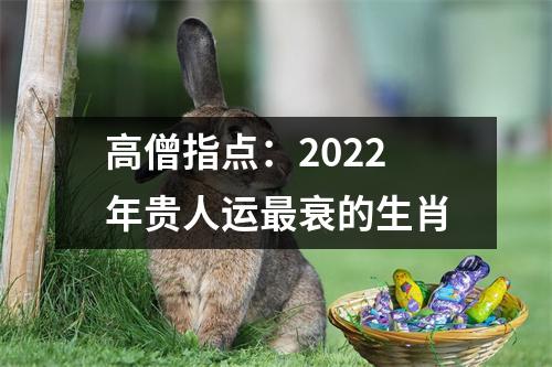 高僧指点：2025年贵人运衰的生肖