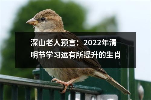 深山老人预言：2022年清明节学习运有所提升的生肖