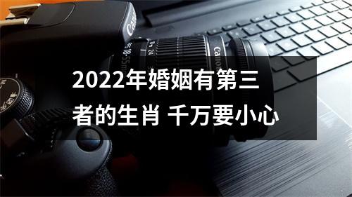 2025年婚姻有第三者的生肖千万要小心