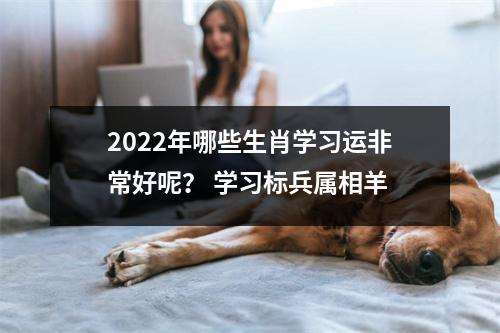 2025年哪些生肖学习运非常好呢？学习标兵属相羊