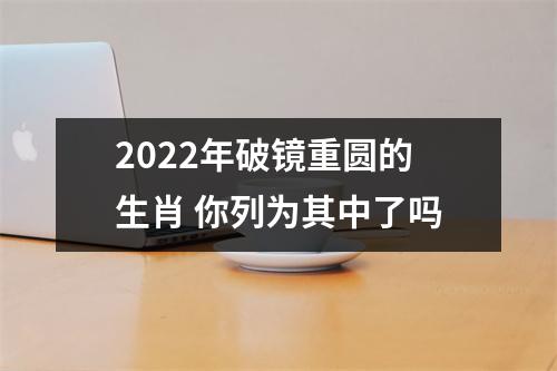 2025年破镜重圆的生肖你列为其中了吗