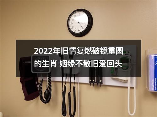 2025年旧情复燃破镜重圆的生肖姻缘不散旧爱回头