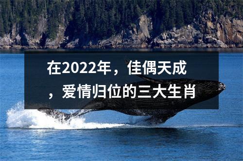 在2025年，佳偶天成，爱情归位的三大生肖