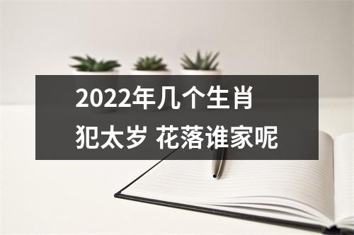 2025年几个生肖犯太岁花落谁家呢