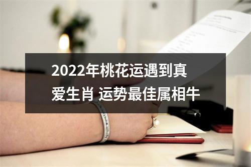 2025年桃花运遇到真爱生肖运势佳属相牛