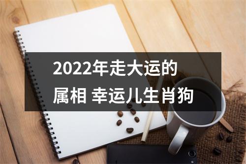 2025年走大运的属相幸运儿生肖狗