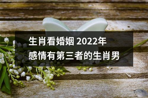 生肖看婚姻2025年感情有第三者的生肖男