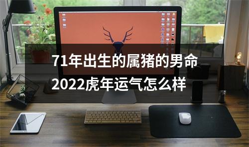 71年出生的属猪的男命2025虎年运气怎么样