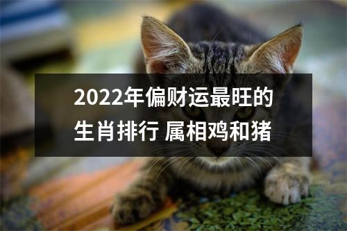 2025年偏财运旺的生肖排行属相鸡和猪