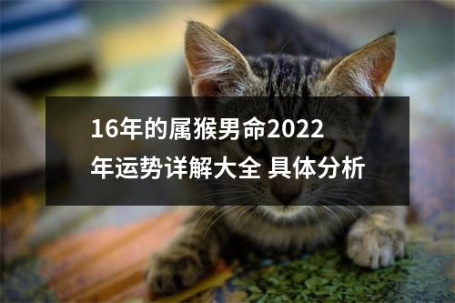 16年的属猴男命2025年运势详解大全具体分析