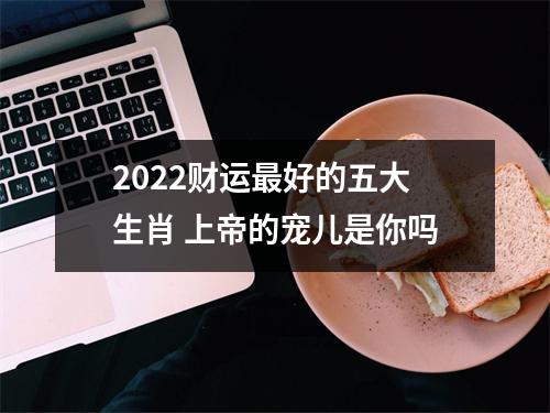 2025财运好的五大生肖上帝的宠儿是你吗