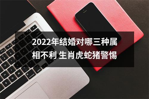 2025年结婚对哪三种属相不利生肖虎蛇猪警惕