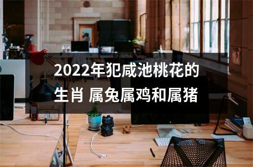 2025年犯咸池桃花的生肖属兔属鸡和属猪