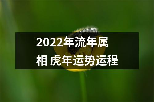 2025年流年属相虎年运势运程