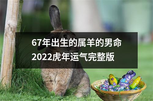 67年出生的属羊的男命2025虎年运气完整版