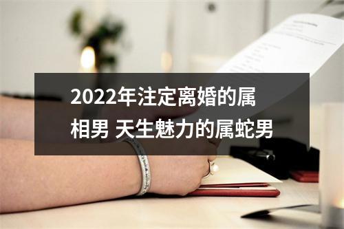 2025年注定离婚的属相男天生魅力的属蛇男