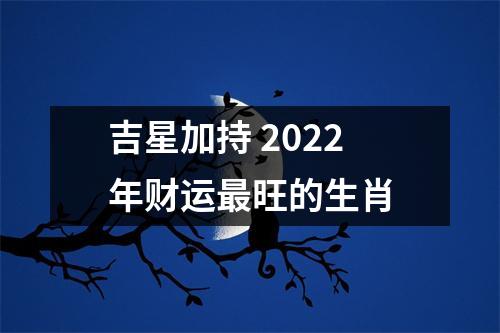 吉星加持2025年财运旺的生肖