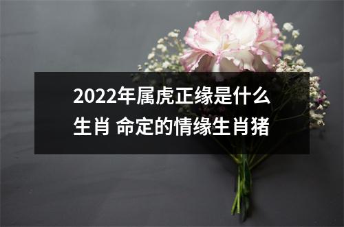 <h3>2025年属虎正缘是什么生肖命定的情缘生肖猪