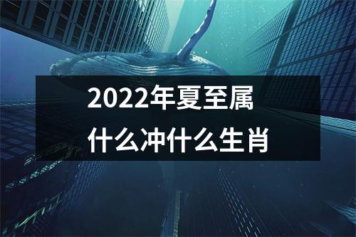 2025年夏至属什么冲什么生肖