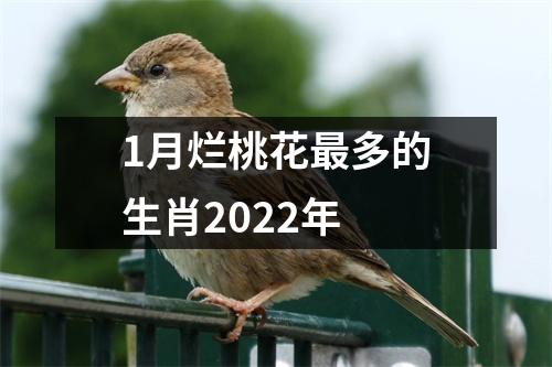 <h3>1月烂桃花多的生肖2025年