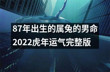 87年出生的属兔的男命2025虎年运气完整版